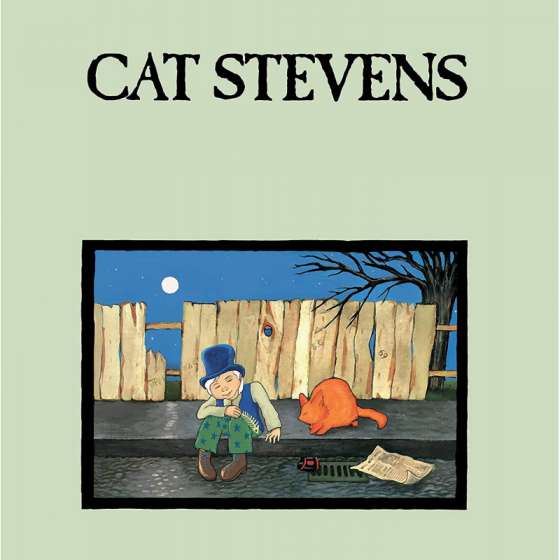 Stevens cat - Teaser and...
