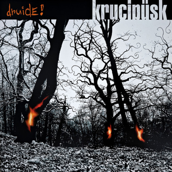 Krucipüsk – Druide!